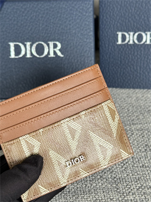 CD Card Holder Brown CD Diamond Canvas