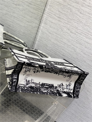 CD Medium Book Tote White and Black Paris Embroidery