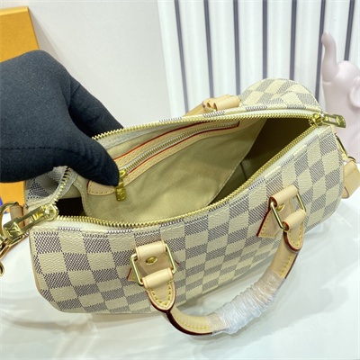 L.V Speedy Bandoulière 25 Damier Azur N41374
