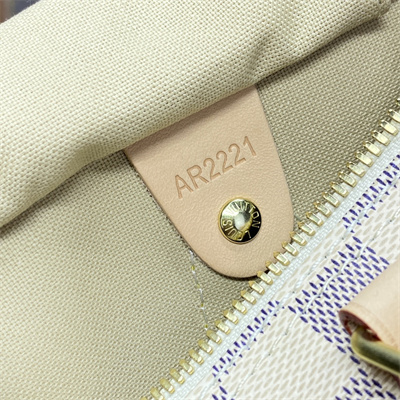 L.V Speedy Bandoulière 25 Damier Azur N41374