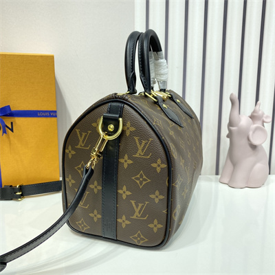 L.V Speedy Bandoulière 25 Monogram Canvas Black Strap M41113
