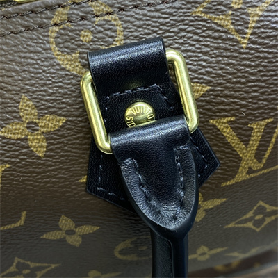 L.V Speedy Bandoulière 25 Monogram Canvas Black Strap M41113
