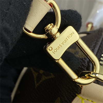 L.V Speedy Bandoulière 20 Monogram Canvas M46222