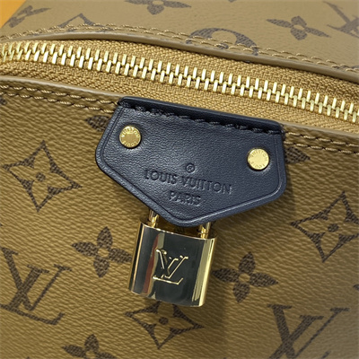 L.V Just In Case Reverse Monogram Canvas M47162