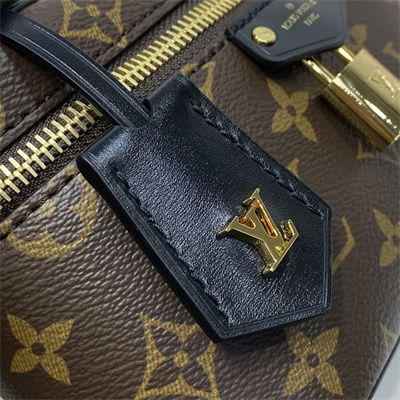 L.V Vanity Chain Pouch In Monogram Canvas M47125