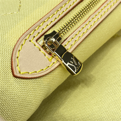 L.V Neverfull MM Bag Damier Giant Coated Canvas N40668