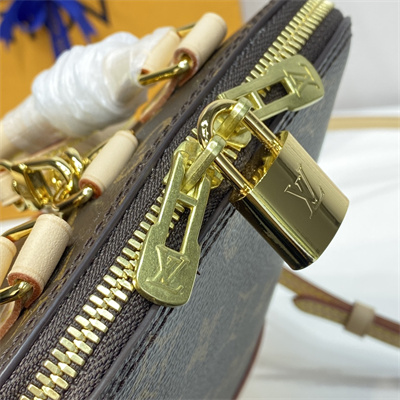 L.V Alma Backpack Monogram Coated Canvas M47132