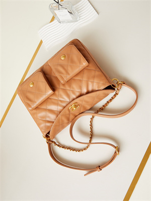 Chanel Large Hobo Handbag Shiny calfskin Gold Tone Metal Brown AS4668