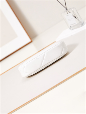 CHANEL 19 CLUTCH WITH CHAIN Shiny Lambskin, Gold-Tone, Silver-Tone & Ruthenium-Finish Metal White AP3763