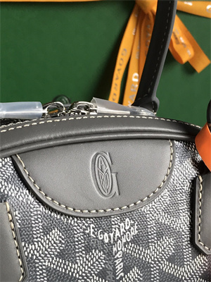 Goyard Saint Jeanne Medium Bowling Bag Grey