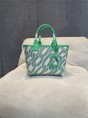 Her.mes Steeple Handbag Hplume Canvas and Swift Calfskin multicolor Printing HS