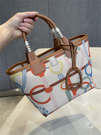 Her.mes Steeple Handbag Hplume Canvas and Swift Calfskin multicolor Printing HS