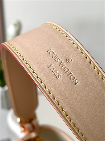 LV CarryAll PM Bag Monogram jacquard fabric Multicolor Beige M24707