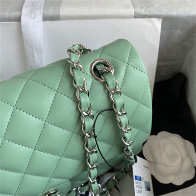 Chanel Medium Classic Flap Bag Lambskin Silver Tone Metal Lt Green 01112
