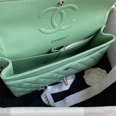 Chanel Medium Classic Flap Bag Lambskin Silver Tone Metal Lt Green 01112