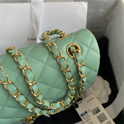 Chanel Medium Classic Flap Bag Lambskin Gold Tone Metal Lt Green 01112