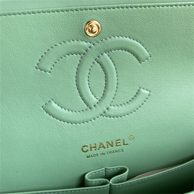 Chanel Medium Classic Flap Bag Lambskin Gold Tone Metal Lt Green 01112