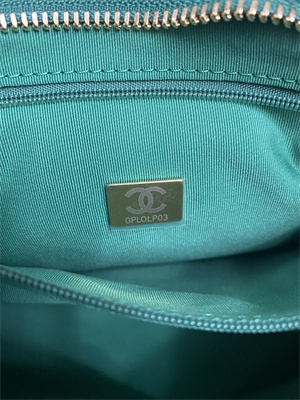 Chanel Small Hobo Bag Shiny Lambskin Gold Tone Metal Green AS4922