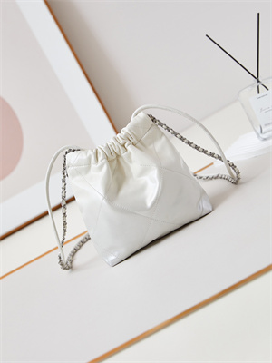 Chanel 22 Mini Handbag Shiny Calfskin Silver Tone Metal White AS3980