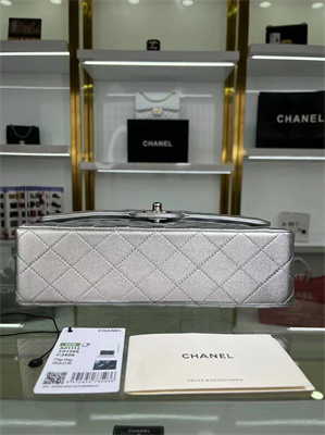 Chanel Medium Classic Flap Bag Metallic Silver AS1112