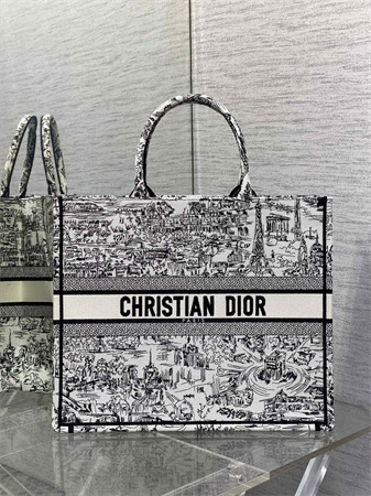 CD Large Book Tote White and Black Paris Allover Embroidery