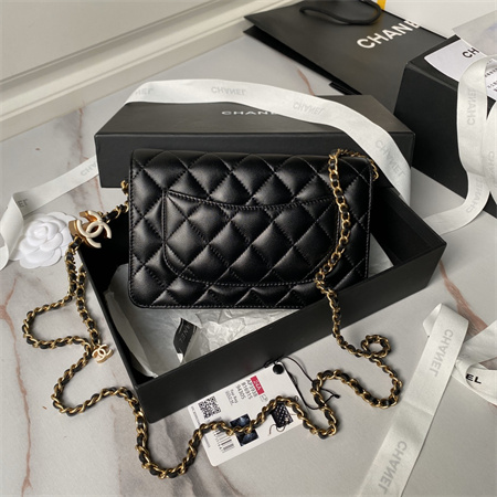 Chanel Wallet On Chain Shiny Lambskin, Enamel & Gold-Tone Metal Black AP3938