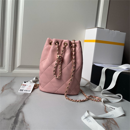 Chanel Backpack Shiny Lambskin Gold Tone Metal Pink AS4810