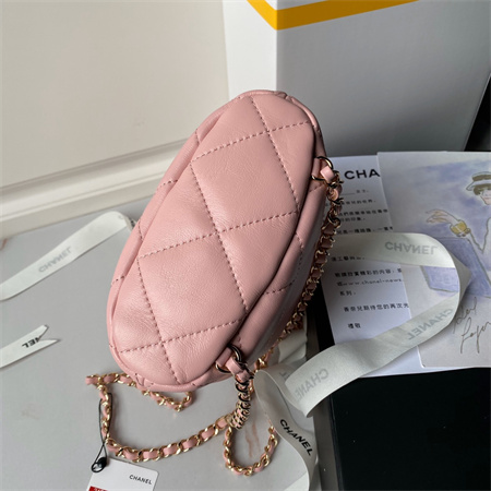 Chanel Backpack Shiny Lambskin Gold Tone Metal Pink AS4810