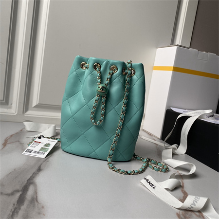 Chanel Backpack Shiny Lambskin Gold Tone Metal Green AS4810