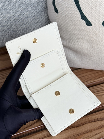 Chanel Wallet Grained Calfskin/Lambskin A84028