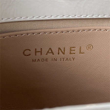 Chanel Small Hobo Bag Shinny Calfskin Gold Tone Metal White AS3710