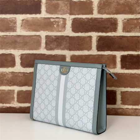 Gu.cci Ophidia GG Pouch Supreme Canvas Grey Blue 625549