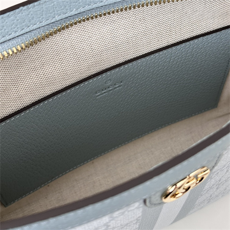 Gu.cci Ophidia GG Pouch Supreme Canvas Grey Blue 625549