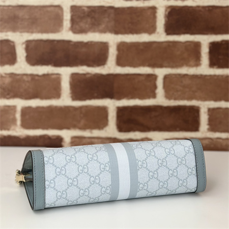 Gu.cci Ophidia GG Small Shoulder Bag Supreme Canvas Dusty Blue 503877