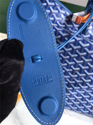 Goyard Saint Louis GM Bag In Goyardine Canvas & Chevroches Calfskin