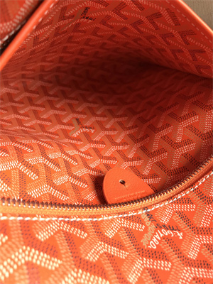 Goyard Artois MM Bag Goyardine Canvas & Chevroches Calfskin