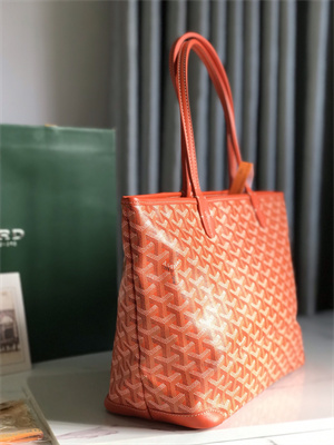 Goyard Artois PM Bag Goyardine Canvas & Chevroches Calfskin