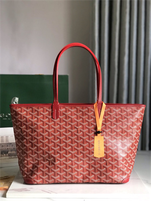 Goyard Artois PM Bag Goyardine Canvas & Chevroches Calfskin