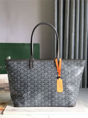 Goyard Artois PM Bag Goyardine Canvas & Chevroches Calfskin
