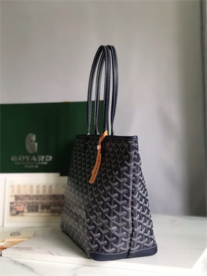 Goyard Artois PM Bag Goyardine Canvas & Chevroches Calfskin