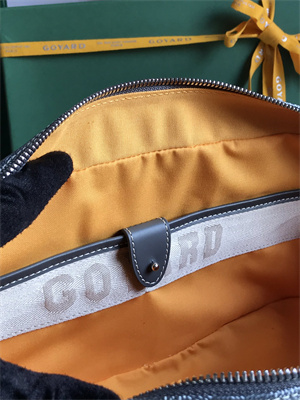 Goyard Saint Martin Handbag In Goyardine Canvas & Chevroches Calfskin