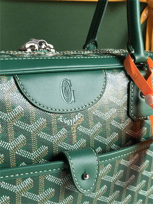 Goyard Saint Martin Handbag In Goyardine Canvas & Chevroches Calfskin