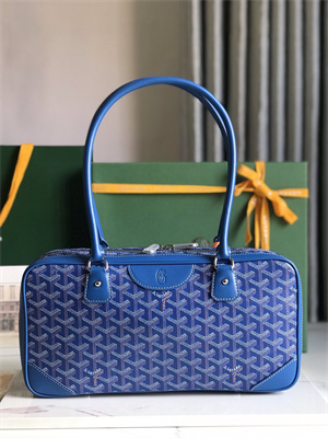Goyard Saint Martin Handbag In Goyardine Canvas & Chevroches Calfskin