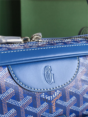Goyard Saint Martin Handbag In Goyardine Canvas & Chevroches Calfskin