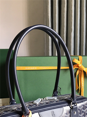 Goyard Saint Martin Handbag In Goyardine Canvas & Chevroches Calfskin