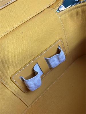 Goyard Muse Vanity Case In Goyardine Canvas & Cervon Calfskin