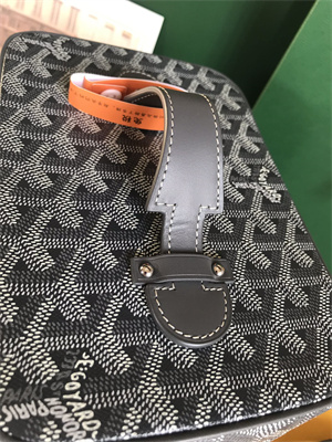 Goyard Muse Vanity Case In Goyardine Canvas & Cervon Calfskin