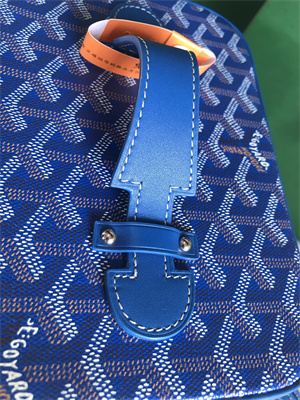 Goyard Muse Vanity Case In Goyardine Canvas & Cervon Calfskin