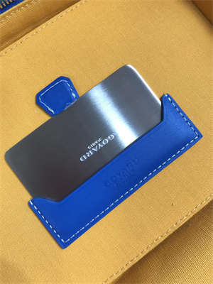 Goyard Muse Vanity Case In Goyardine Canvas & Cervon Calfskin