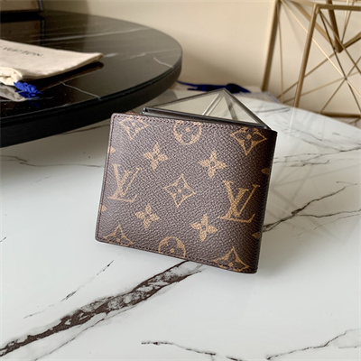 LV Multiple Wallet Monogram Canvas M60895